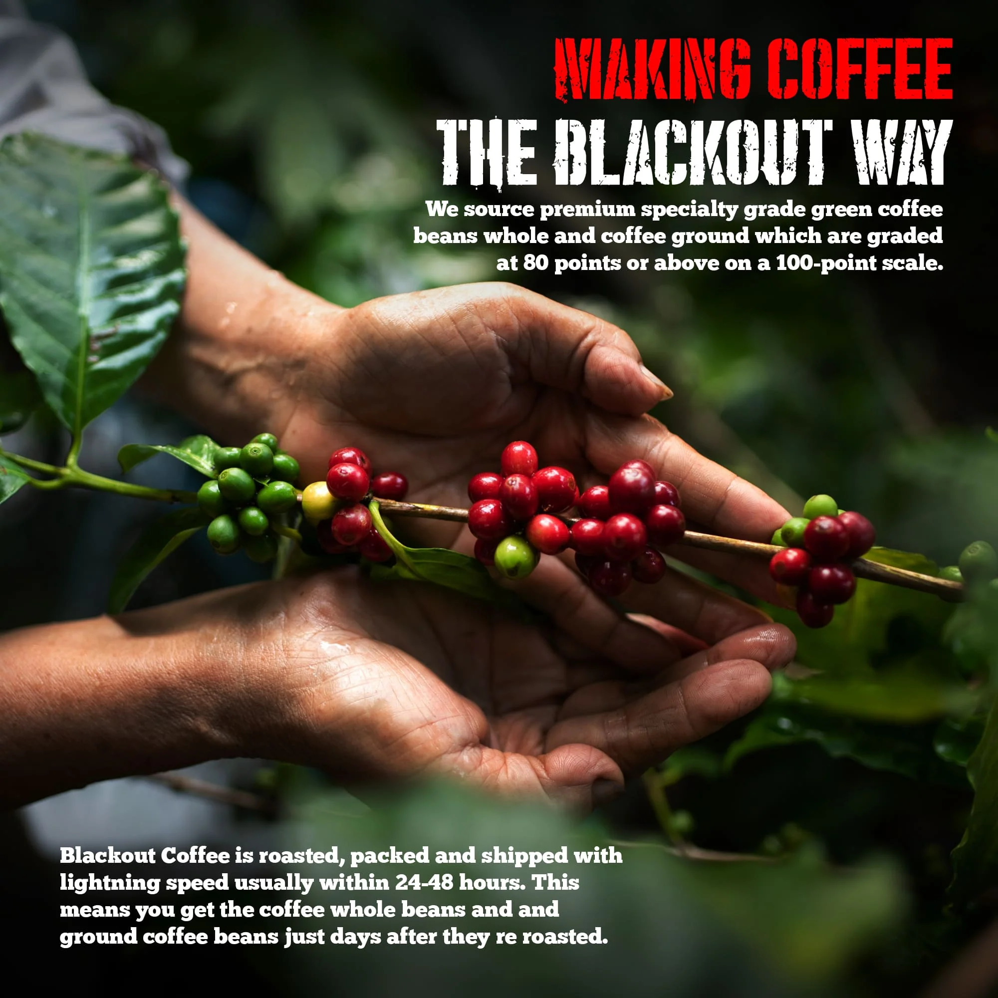 Blueberry Crumble Flavored Coffee - Image 9